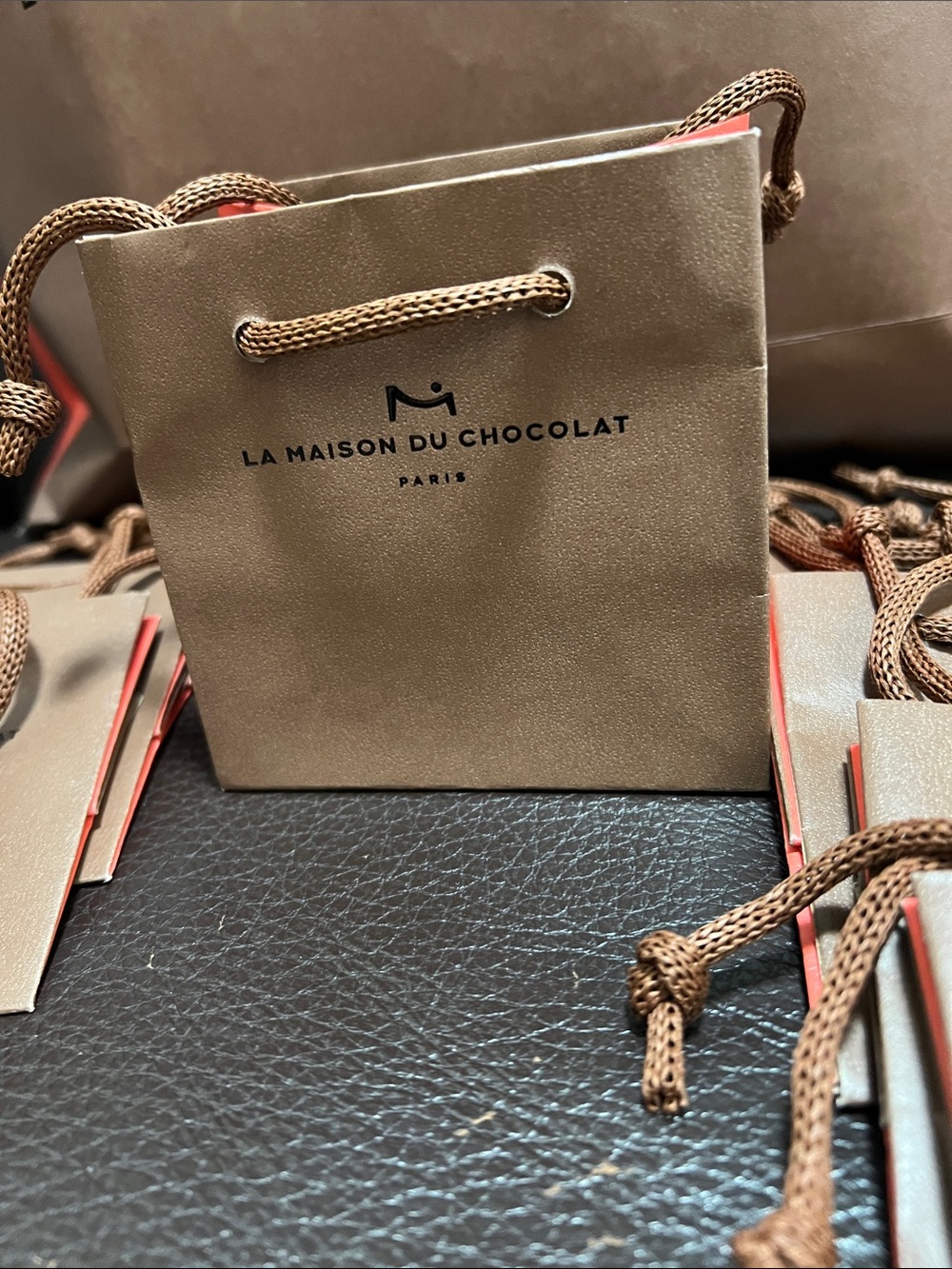 Mini Gift Bag in Brown